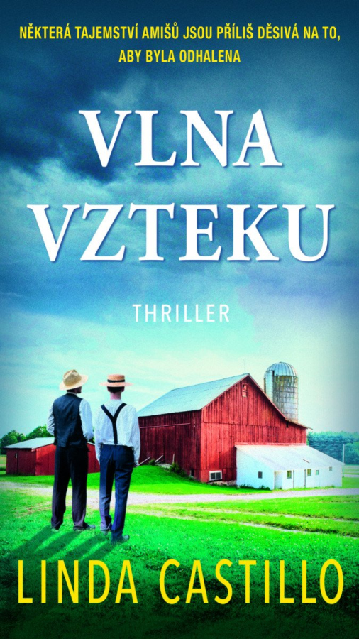 Vlna vzteku