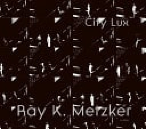 Ray K. Metzker: City Lux