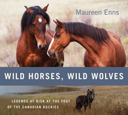 Wild Horses, Wild Wolves, Legends at Risk at the Foot of the Canadian Rockies