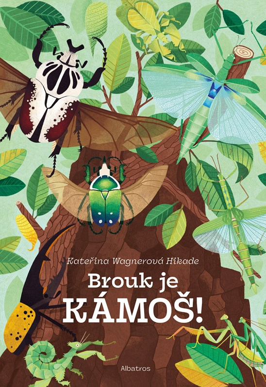 Brouk je kámoš