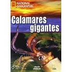 NG - Andar.es: Calamares gigantes + DVD SGEL