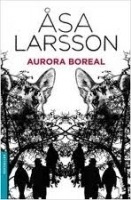 AURORA BOREAL