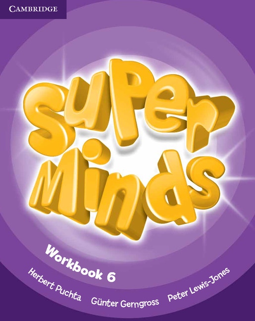 Super Minds 6 Workbook