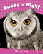 Penguin Kids 2 Awake At Night Reader CLIL Pearson
