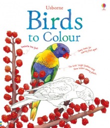 Birds to colour Usborne Publishing