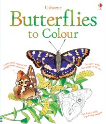 Butterflies to colour Usborne Publishing