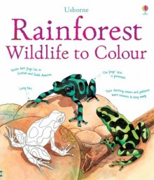 Rainforest wildlife to colour Usborne Publishing