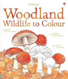 Woodland wildlife to colour Usborne Publishing