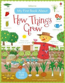 My First Book About How Things Grow Usborne Publishing