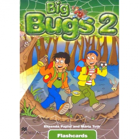 Big Bugs 2 Flashcards Macmillan
