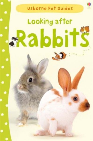 Looking after rabbits