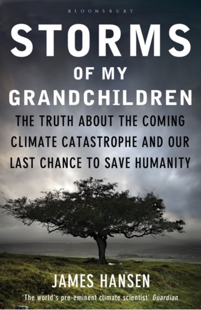 Storms of My Grandchildren : The Truth about the Coming Climate Catastrophe and Our Last Chance to Save Humanity Bloomsbury (UK)
