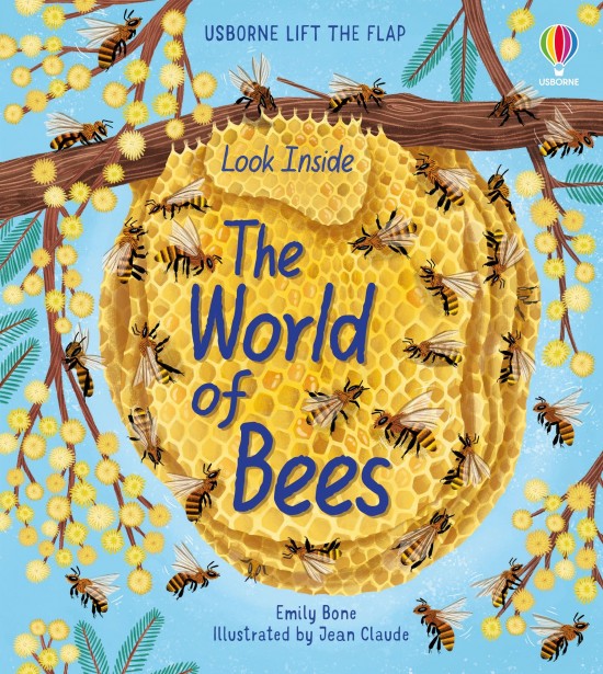 Look Inside the World of Bees Usborne Publishing