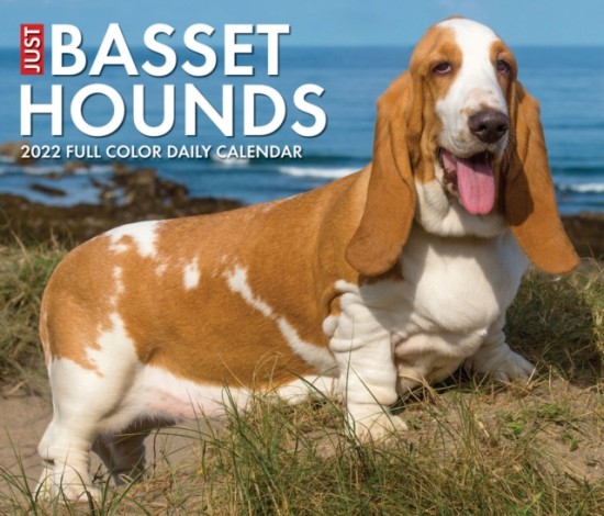 Basset Hounds 2022 Box Calendar - Dog Breed Daily Desktop - výprodej