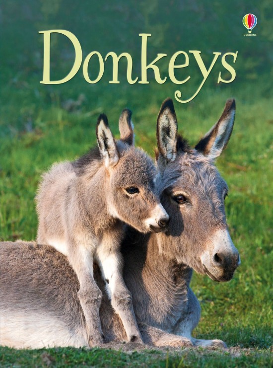 Donkeys Usborne Publishing