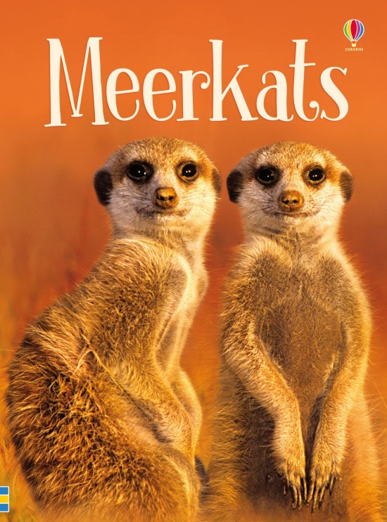 Meerkats Usborne Publishing