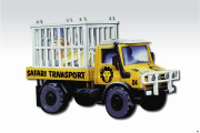 MS 51 - Safari