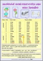 Skloňování vzorů podstatných jmen rodu ženského/ + Skloňování vzorů podstatných jmen rodu středního (karta)